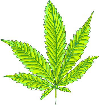 This web site contains content about marijuana.